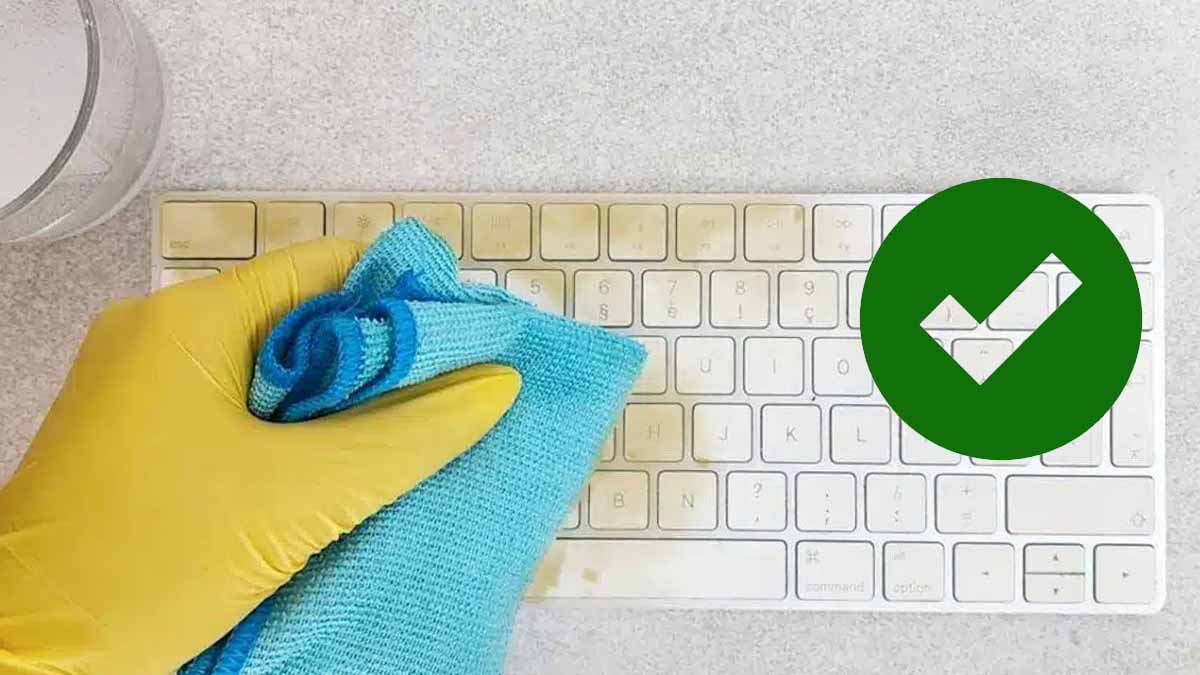 Ni javel ni bicarbonate : la méthode pour blanchir naturellement le plastique jauni chez vous